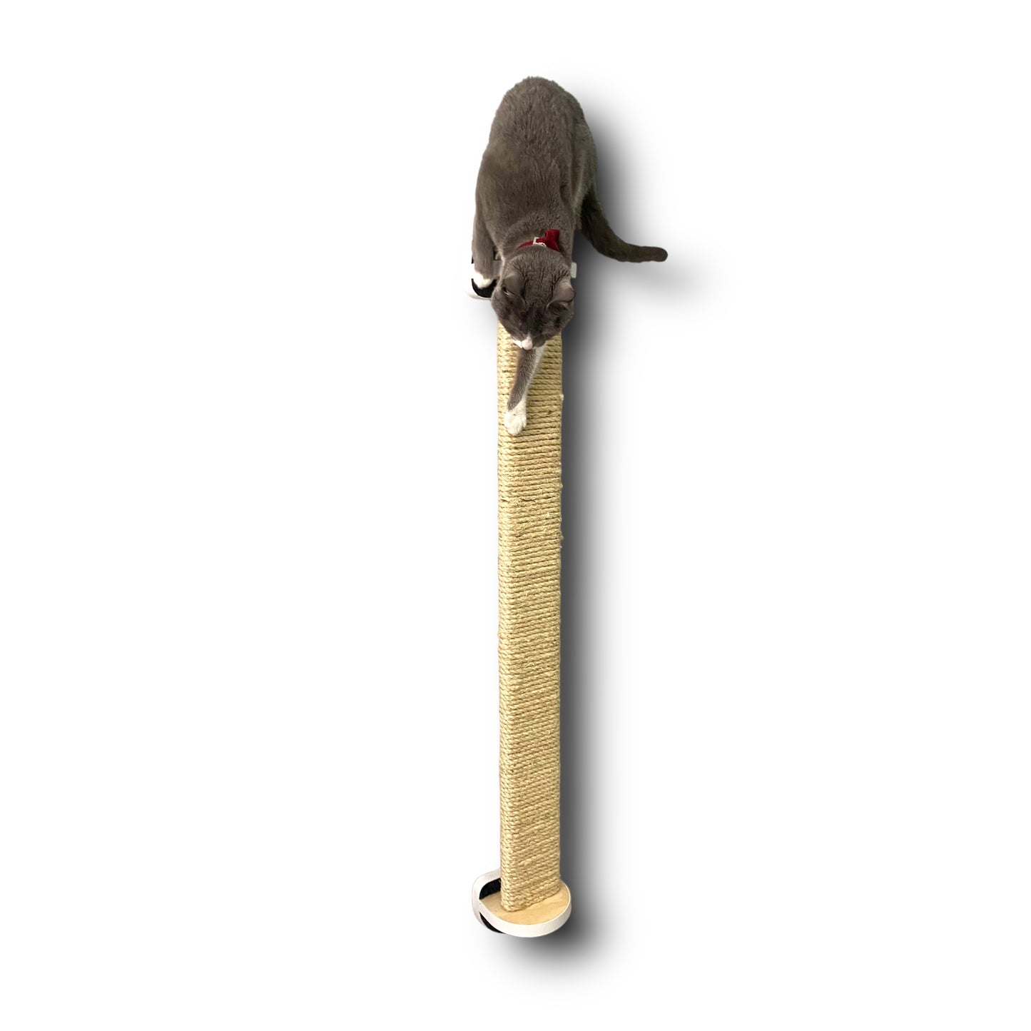 Gimnasio - CORE - BLANCO - 1 Rascador Grande 116cm + 2 Repisas 40cm
