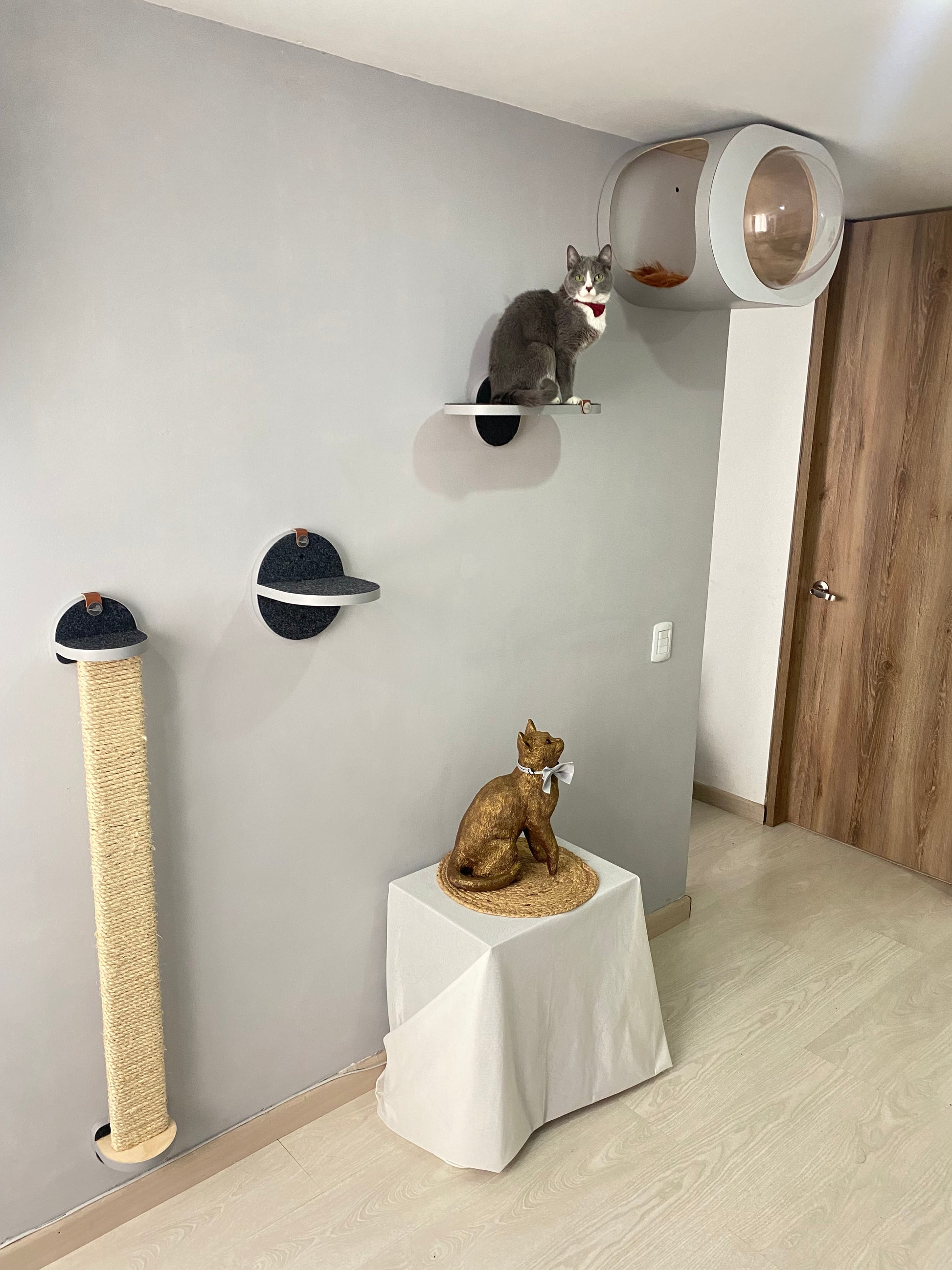 Gimnasio ÉLITE GRIS Cueva Flotante OVALADA Rascador Grande 116cm Repisa 20cm Repisa 40 cm