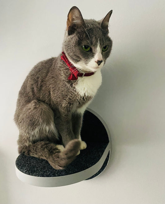 Paso Pequeño GRIS