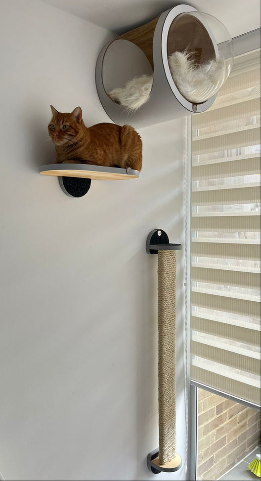 Gimnasio - URBAN - GRIS - 1 Cueva Flotante REDONDA + 1 Rascador Grande 116cm + Repisa 40cm